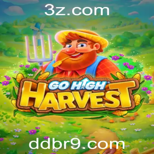 ddbr.com Casino App